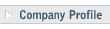 Company Profile